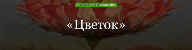 analiz-stihotvoreniya-cvetok-pushkina-50311.jpg