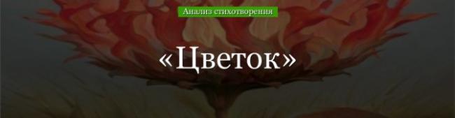 analiz-stihotvoreniya-cvetok-pushkina.jpg