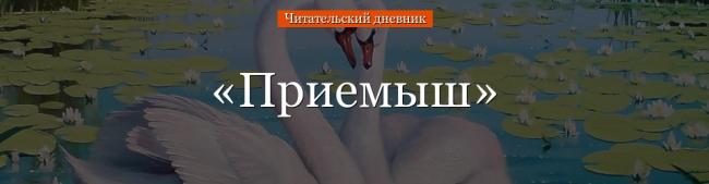priemysh-chitatelskiy-dnevnik-64376.jpg