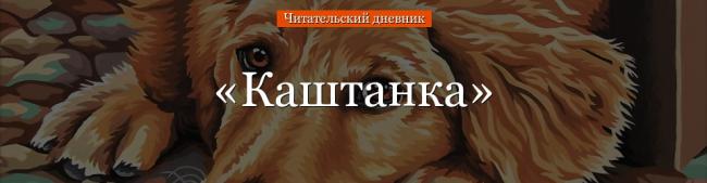 kashtanka-chitatelskiy-dnevnik-67270.jpg