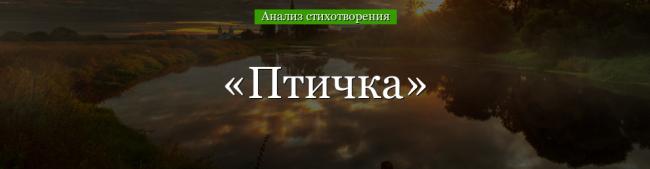 analiz-stihotvoreniya-ptichka-derzhavina-49208.jpg